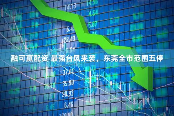 融可赢配资 最强台风来袭，东莞全市范围五停