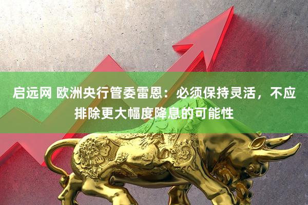启远网 欧洲央行管委雷恩：必须保持灵活，不应排除更大幅度降息的可能性