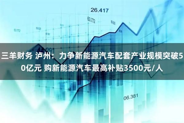 三羊财务 泸州：力争新能源汽车配套产业规模突破50亿元 购新能源汽车最高补贴3500元/人