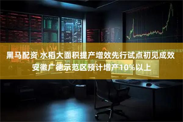 黑马配资 水稻大面积提产增效先行试点初见成效 安徽广德示范区预计增产10%以上