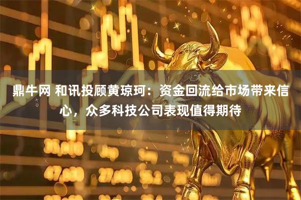 鼎牛网 和讯投顾黄琼珂：资金回流给市场带来信心，众多科技公司表现值得期待