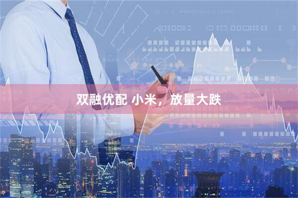双融优配 小米，放量大跌