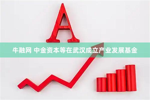 牛融网 中金资本等在武汉成立产业发展基金